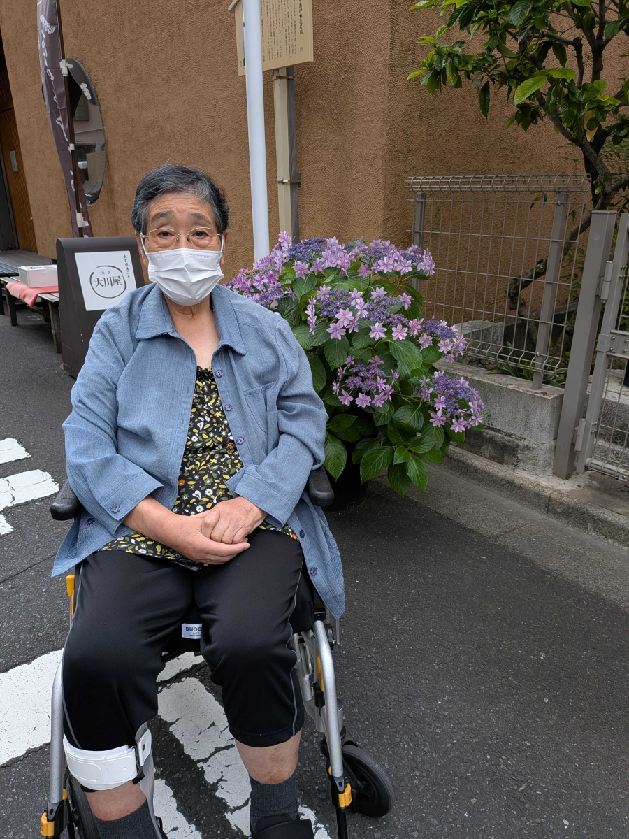 紫陽花を探して｜福祉・介護・支援 社会福祉法人 奉優会（ほうゆうかい）